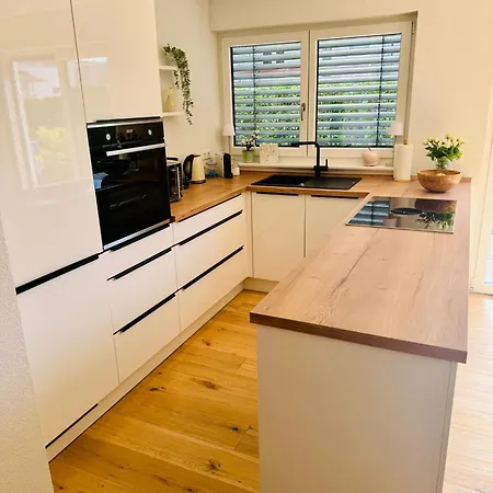 Stylisches Neubau Mit Grosser Terrasse Ruhig Und Idyllisch 30 Min Zuerich Daire Wutoschingen